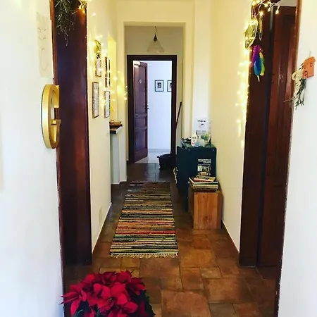 Casa Tognetti Guest house Migliarino Pisano