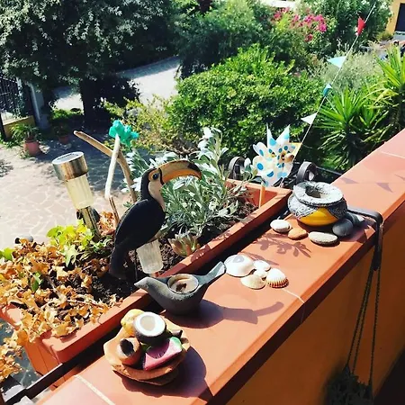Casa Tognetti * Migliarino Pisano