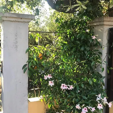 Guest house Casa Tognetti